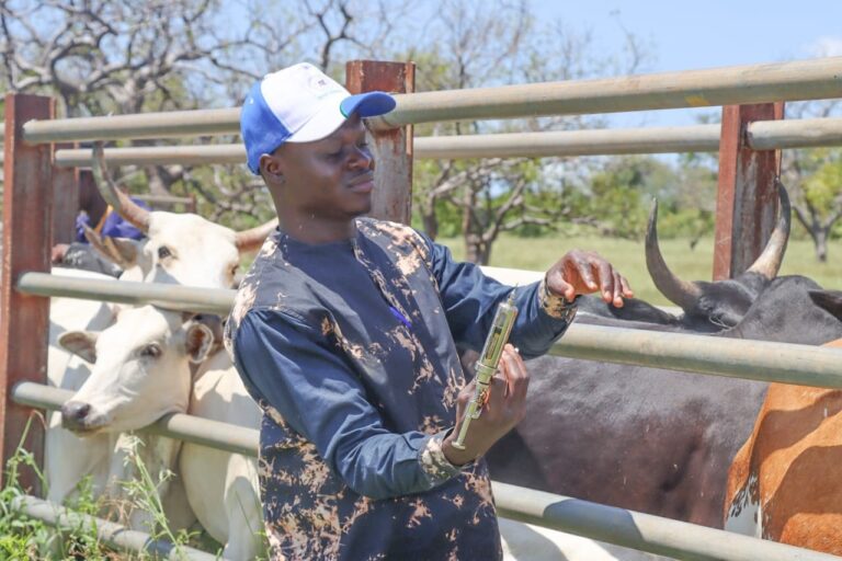 Campagne nationale de vaccination 2025-2026 contre les maladies animales prioritaires : le ministère en charge des Ressources animales veille à la bonne conduite des opérations sur le terrain