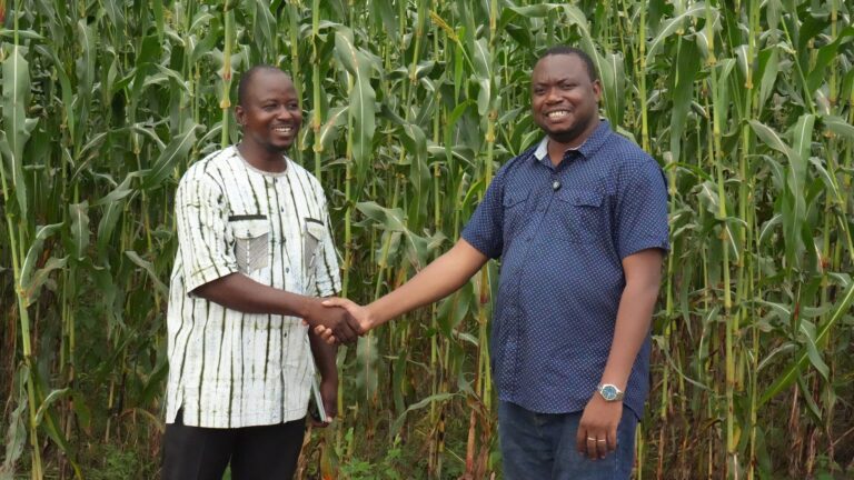 Agriculture résiliente : le programme RESI-2P soutient la production semencière sur 57 hectares